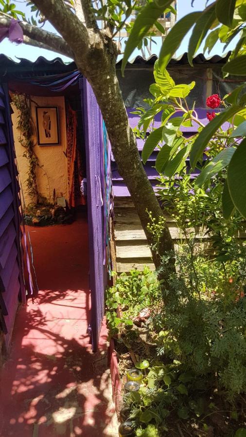 Ajo Aloha Hostel Cabo Polonio Exterior photo